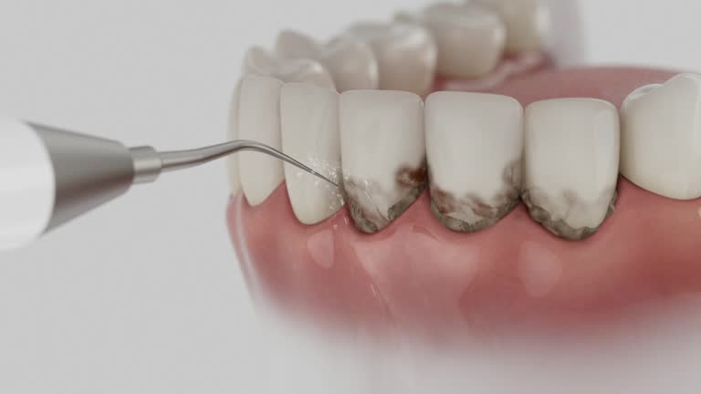 Reliable Dental contractor in Wharton, NJ by Dentist Open Now